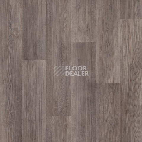 Линолеум Forbo Sarlon Wood 19dB 8512T4319 smoked chill oak фото 1 | FLOORDEALER